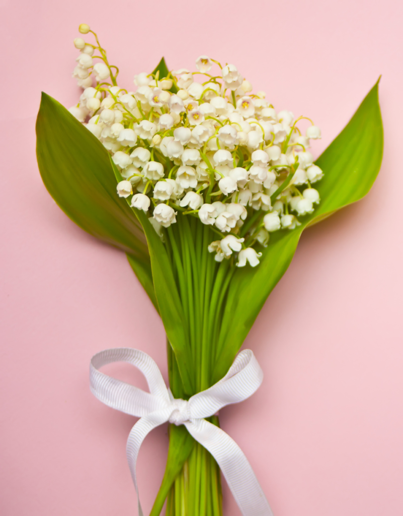 May Birth Flower -Lilies of the Valley